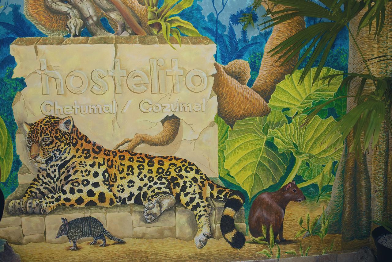 Hostelito Chetumal Hotel + Hostal Εξωτερικό φωτογραφία