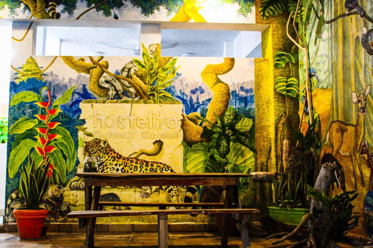 Hostelito Chetumal Hotel + Hostal Εξωτερικό φωτογραφία